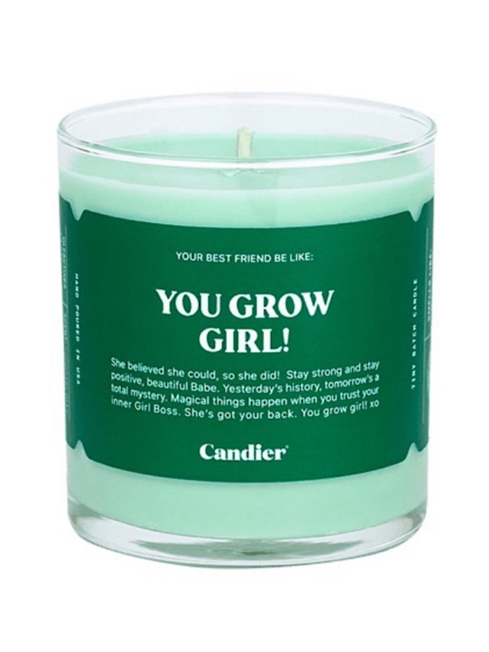 Candier Candle by Ryan Porter "You Grow Girl" 100% Soy Wax Candle, 9 oz / 255 g